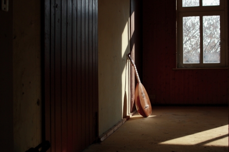 ancient musical instrument Laute before a doorの写真素材