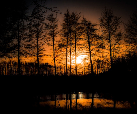 Reflection of trees in the lake and sunsetの写真素材