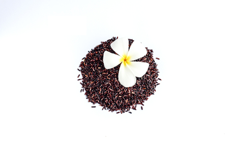 rice berry organic rice on white background, brown rice Thailandの写真素材