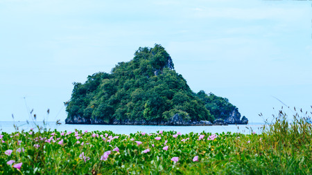 Koh at Aouw Nang bay a ndaman sea Krabi, South of Thailand.の写真素材