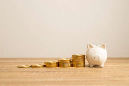 When you want a property like house and car you must save the money to buy them. 

You must to collect money and put them in to the White piggy bank and hold them when you have finish you won and buy them.の写真素材