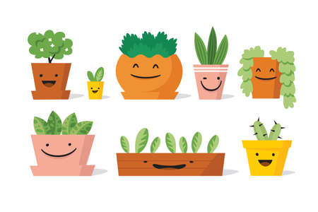 Potted plants setのイラスト素材