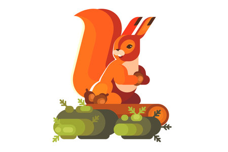 Squirrel holding acornのイラスト素材