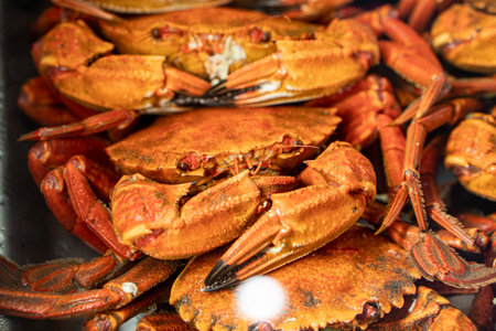 Close-up of cooked crabs, cooked shellfish. Food and healthy conceptの写真素材