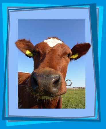 Arrayの写真素材