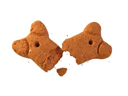 Arrayの写真素材