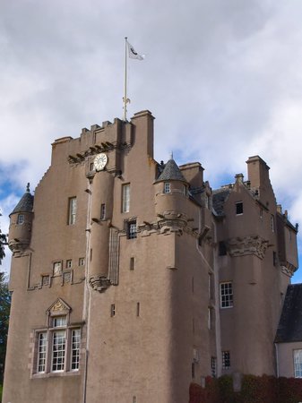 Arrayの写真素材