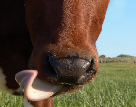 Arrayの写真素材