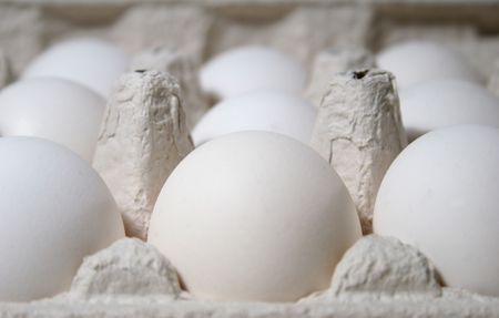 Rows of eggsの写真素材