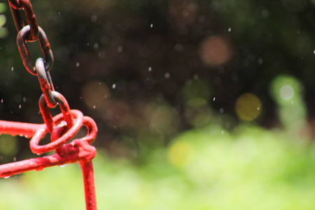 Raining Gardenの写真素材