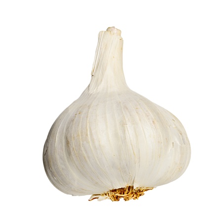 Head of garlic in white backgroundの写真素材