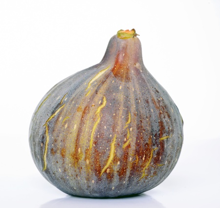 A single fig on white backgroundの写真素材