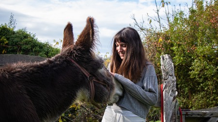 Smiling young girl caressing a brown donkey in a rural settingの写真素材