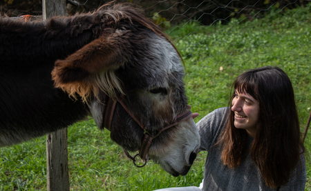 Smiling young girl caressing a brown donkey in a rural settingの写真素材