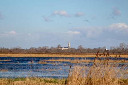 Landscape with a church and a bell tower between marshes and cropsの写真素材