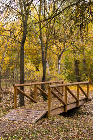 Nice autumn landscape with yellow and green trees and plants with a small wooden bridge covered in fallen leavesの写真素材
