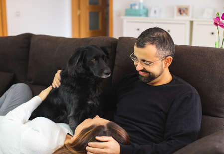 Young happy couple on the sofa at home with their black dog. Woman resting her head on the legs of her partner.の写真素材