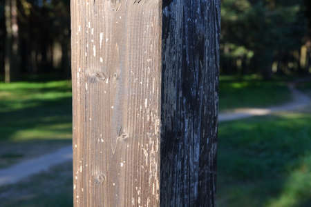 Wooden post in the middle of natureの写真素材