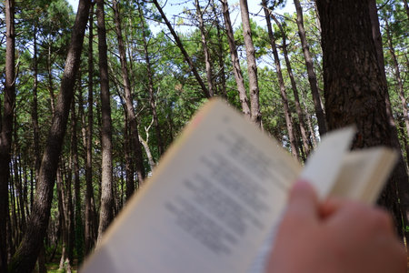 Person reading a book in the middle of the forestの写真素材