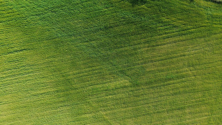 Green and brown fields seen from the top