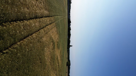 Track marks on a green and brown field from the top