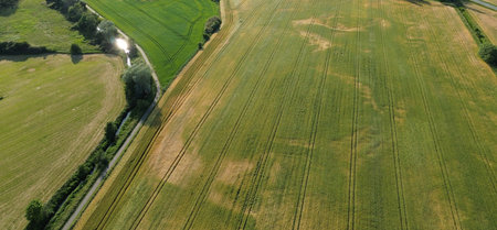 Green and brown fields with road and river seen from the top