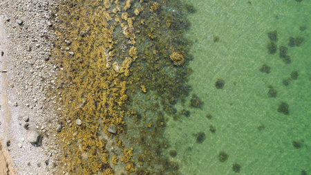 Blue sea and beautiful coastline with small waves and algae