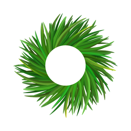 Vetiver grass (khus or Chrysopogon zizanioides). Wreath of leaves. Vector illustrationの写真素材