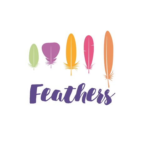 Vector template with feathers for invitations, wedding greeting cards, certificate, labels etc. Design elements for textiles, web, covers, printsのイラスト素材