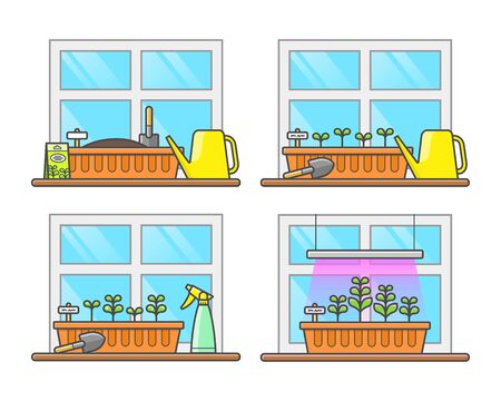 Stages of growing plants at home on the window. Planting seedlings in a box, watering, first sprouts, spraying, lightingのイラスト素材