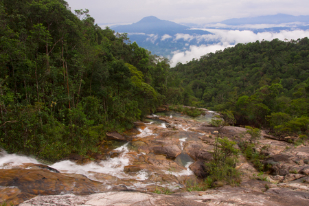 Tropical rainforest, Chemerong Berembun Langsir, CBL, malaysiaの写真素材
