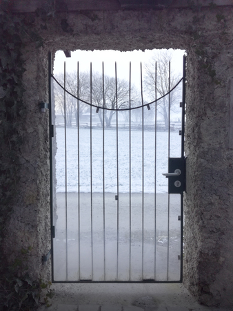 Iron cast gate overlook a winter gardenの写真素材