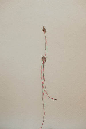 Exposed electrical wires in the wall