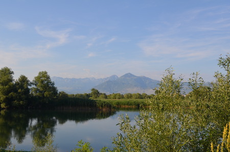 Quiet water of a lake allows beautiful mirror reflections on sunny day. Lake Skadar, Albania, Montenegroの写真素材