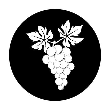 White silhouette of grapes on black circleのイラスト素材