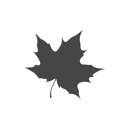 Vector Maple Leaf Iconのイラスト素材