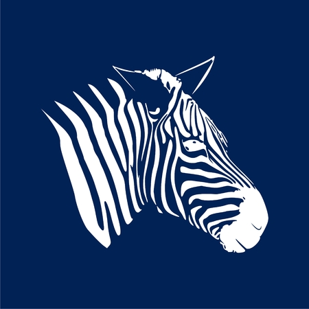 Zebra icon on blue background, vector illustration.のイラスト素材