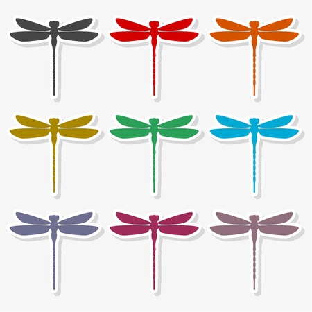 Dragonfly insect vector iconのイラスト素材