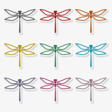 Dragonfly insectのイラスト素材