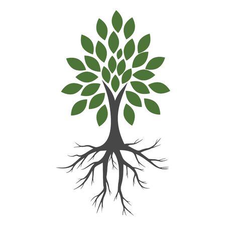 Tree And Roots icon, Tree And Roots logoのイラスト素材