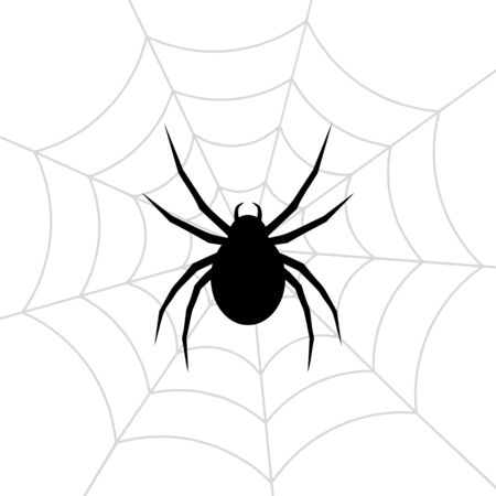 Spider web stock vector illustrationのイラスト素材