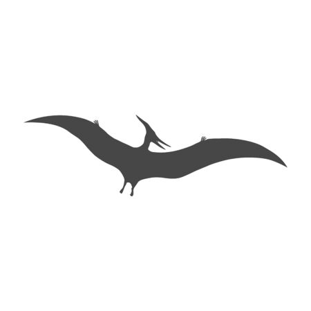 Pterodactyl icon, Vector drawing, Pteranodon birdのイラスト素材