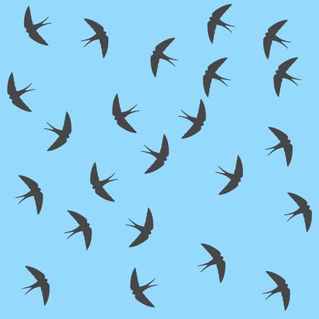 Swallow backgroundのイラスト素材