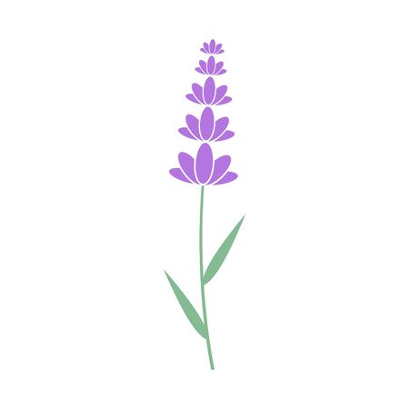 Lavender flower iconのイラスト素材