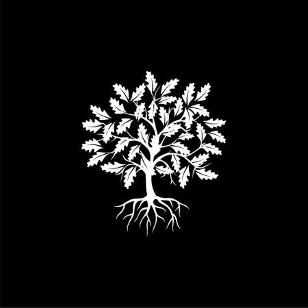 Tree and root iconのイラスト素材