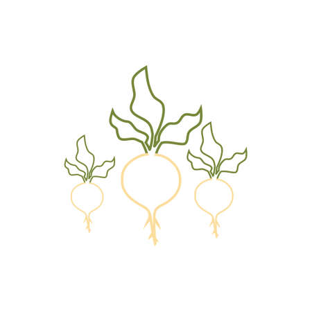 Color Sugar beet iconのイラスト素材