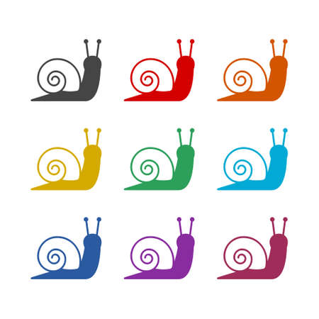 Snail color icon set isolated on white backgroundのイラスト素材