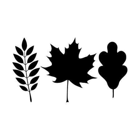 Leaf Icon Isolated On White Backgroundのイラスト素材