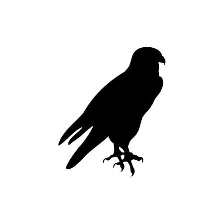 Falcon bird icon on white backgroundのイラスト素材