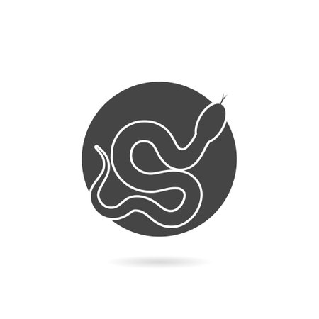 Snake icon with shadow